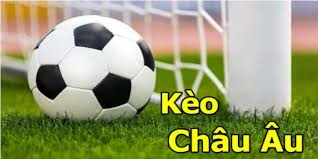 Kèo Châu Âu Cá Cược Tại 009: Cách Chơi Và Lý Do Nên Thử