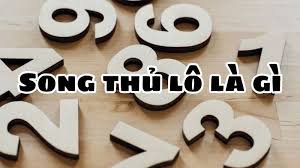 Song Thủ Lô Tại 009 – Cách Chơi Hiệu Quả Và Những Bí Quyết Quan Trọng