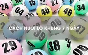 Nuôi Lô Khung 7 Ngày Tại 009: Chiến Thuật Chơi Hiệu Quả