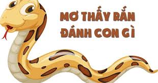  rắn cắn