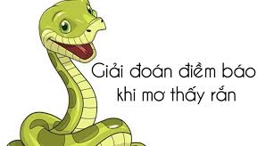  rắn cắn